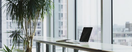 how to stay productive all day